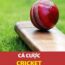 Tìm hiểu về trò cá cược cricket